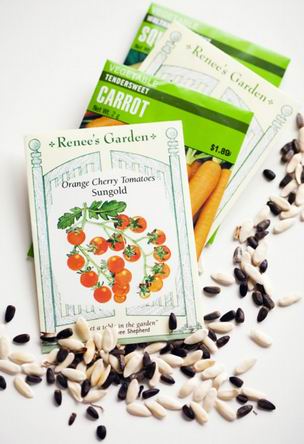 Seed Packets small